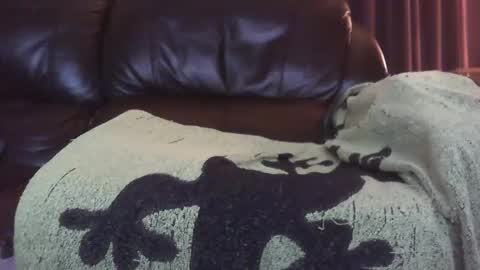 Ectopicstarfish online show from 12/13/24, 08:41