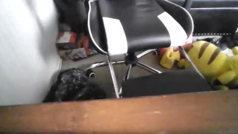 eddy815 online show from 11/24/25, 10:53