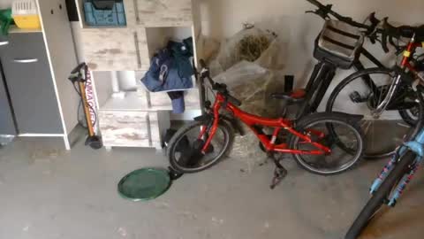 edelholz87 online show from 07/16/26, 06:47