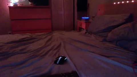 Steven online show from 12/17/25, 02:17