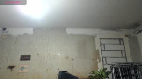 Snapshot of edifox chatting on 12/22/24, 04:59 Alexander online show from 12/22/24, 04:59