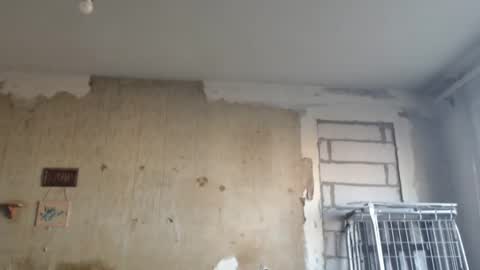 Snapshot of edifox chatting on 02/12/25, 01:16 Alexander online show from 02/12/25, 01:16