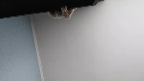 edithmanning online show from 03/13/26, 05:47