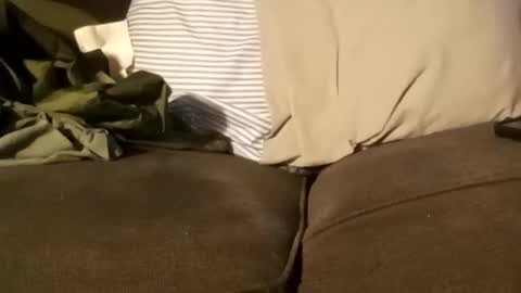 Snapshot of edmore1215 chatting on 12/11/24, 03:37 edmore1215 online show from 12/11/24, 03:37