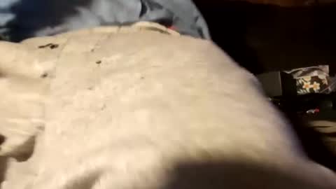 Snapshot of edmore1215 chatting on 12/18/24, 12:51 edmore1215 online show from 12/18/24, 12:51