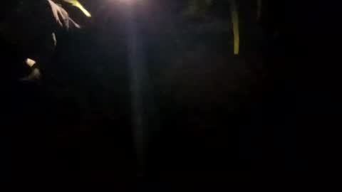 Snapshot of edmore1215 chatting on 01/14/25, 10:17 edmore1215 online show from 01/14/25, 10:17