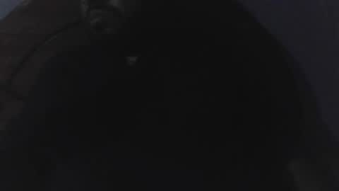 edu4394 online show from 03/23/26, 02:37