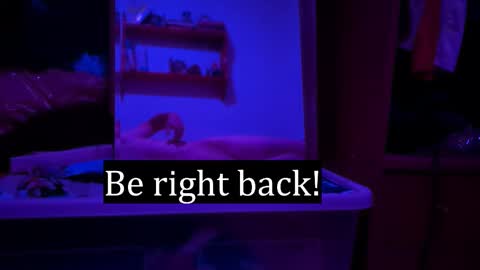 Alex online show from 02/07/26, 12:25