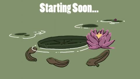 Eimy online show from 04/14/26, 07:09