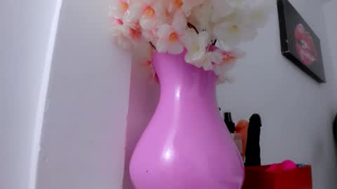 Snapshot of eimy_skinny chatting on 01/18/26, 01:04 eimy online show from 01/18/26, 01:04