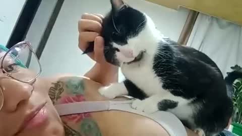 Snapshot of eireneninon chatting on 12/18/24, 01:37 Eirene online show from 12/18/24, 01:37