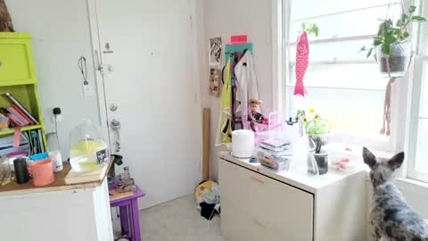 ejrabloom online show from 04/01/26, 05:10