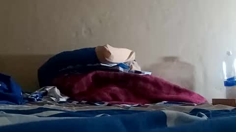 Snapshot of el131140 chatting on 01/05/25, 07:17 Sebastin online show from 01/05/25, 07:17