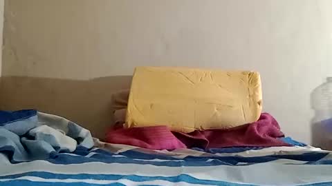 Snapshot of el131140 chatting on 10/31/25, 10:16 Sebastin online show from 10/31/25, 10:16