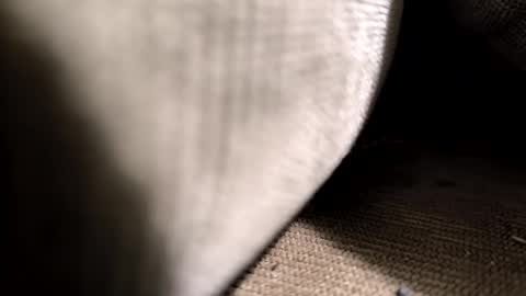 Snapshot of el_taringuero chatting on 06/07/26, 02:59 el_taringuero online show from 06/07/26, 02:59