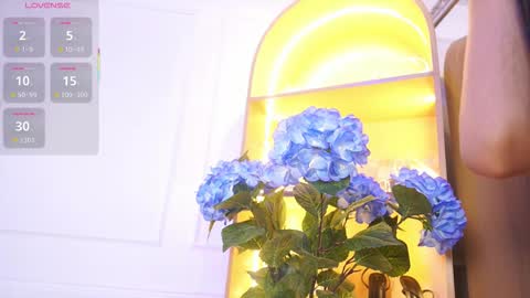 Elasummeer online show from 11/29/25, 11:57