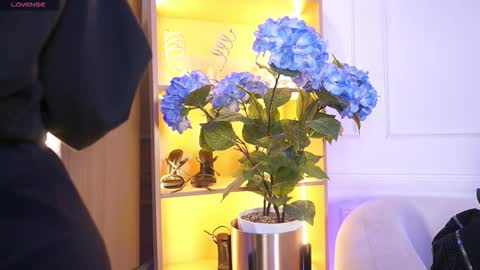 Elasummeer online show from 12/20/25, 11:50