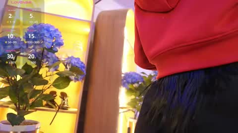 Elasummeer online show from 01/12/26, 11:37