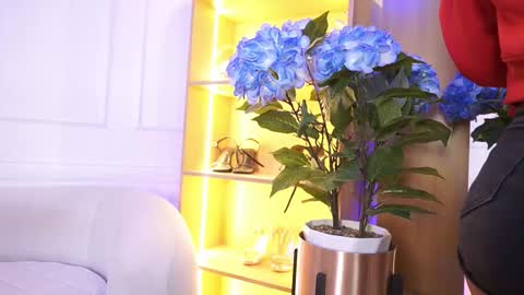 Elasummeer online show from 01/14/26, 12:00