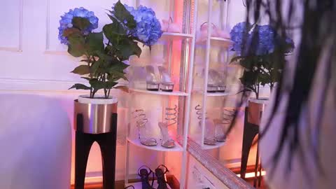 Elasummeer online show from 02/12/26, 12:00