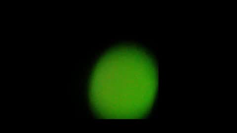 Nando online show from 10/24/25, 02:02