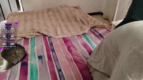 Elektra and Konan online show from 11/28/25, 01:25