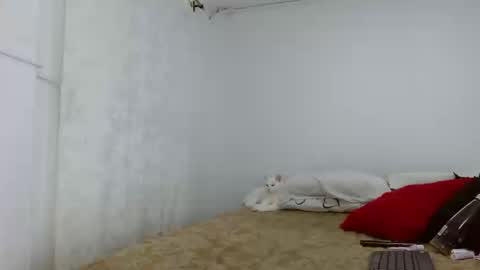 elektra online show from 09/16/25, 04:24