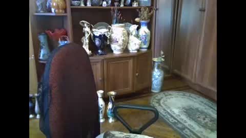 Snapshot of elenazed chatting on 11/13/25, 10:03 ElenaZed online show from 11/13/25, 10:03