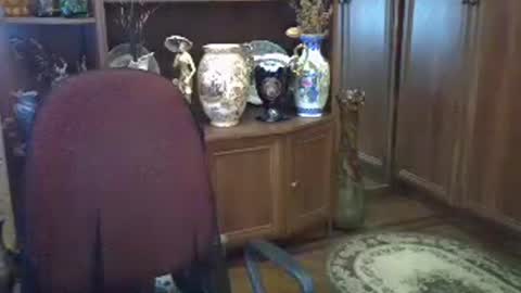 ElenaZed online show from 07/12/26, 08:16