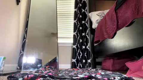 Snapshot of elenore_hoesevelt chatting on 09/11/25, 04:51 Elenore Hoesevelt online show from 09/11/25, 04:51