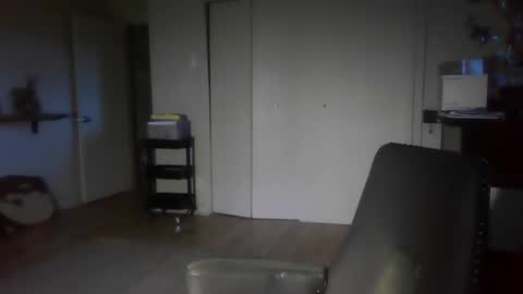 Snapshot of elephantfox chatting on 12/30/24, 12:32 fox online show from 12/30/24, 12:32