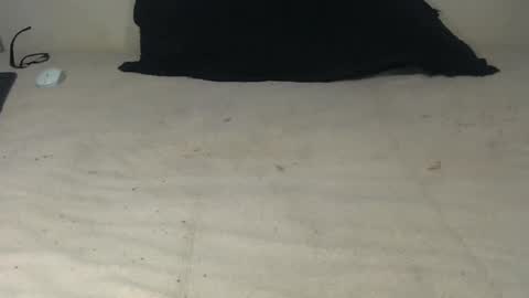 elgsslt online show from 10/20/25, 10:49