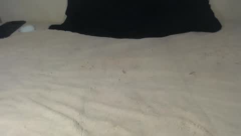 elgsslt online show from 10/21/25, 12:00