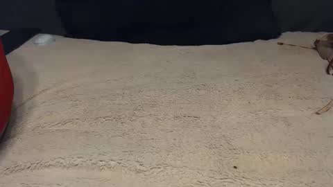 elgsslt online show from 02/28/26, 01:23