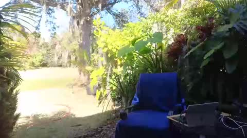 Snapshot of eliberator chatting on 02/09/25, 07:52 eliberator online show from 02/09/25, 07:52