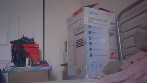 Snapshot of eliexavier123456789 chatting on 12/23/24, 08:36 eliexavier123456789 online show from 12/23/24, 08:36