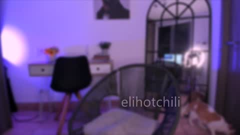 Snapshot of elihotchili chatting on 12/13/24, 11:17 Eli online show from 12/13/24, 11:17