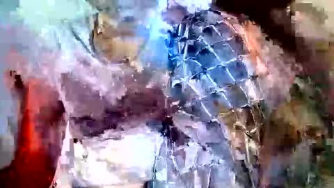 elina_roy03 online show from 11/06/25, 07:31