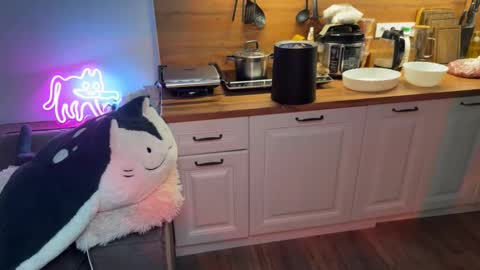 Snapshot of elisa_north chatting on 09/25/25, 04:11 Elisa North online show from 09/25/25, 04:11