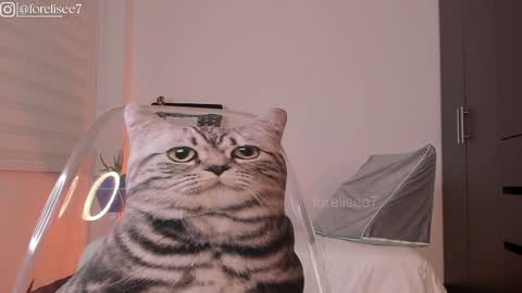 Snapshot of elise_77 chatting on 12/07/24, 07:16 Eli online show from 12/07/24, 07:16