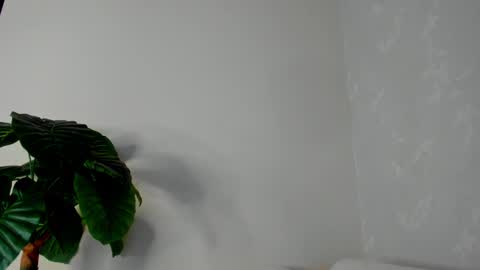 Snapshot of eliza_sanz chatting on 02/22/25, 11:03 My name is ElizaPVT is open online show from 02/22/25, 11:03