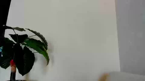 Snapshot of eliza_sanz chatting on 09/08/25, 09:25 My name is ElizaPVT is open online show from 09/08/25, 09:25