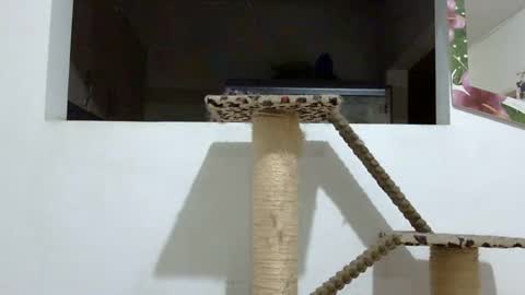 Snapshot of elizabeth_martinez_ chatting on 01/18/25, 02:03 Elizabeth Martinez online show from 01/18/25, 02:03