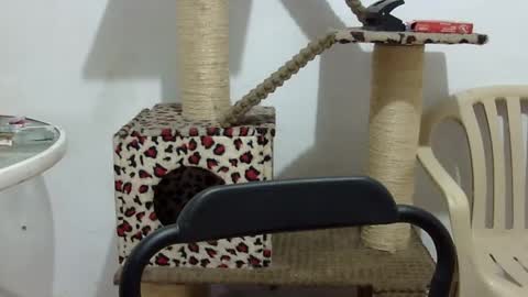 Snapshot of elizabeth_martinez_ chatting on 09/16/25, 02:51 Elizabeth Martinez online show from 09/16/25, 02:51