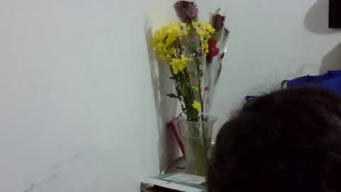 Elizabeth Martinez  online show from 03/12/26, 07:09