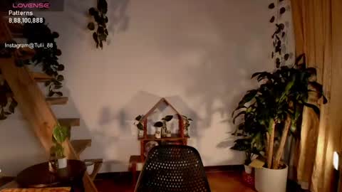 Tuli online show from 06/22/26, 01:07