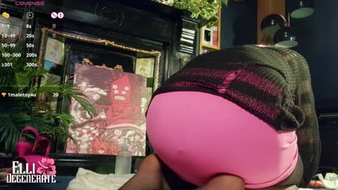 Snapshot of elli_degenerate chatting on 01/24/25, 12:52 Elli Degenerate online show from 01/24/25, 12:52