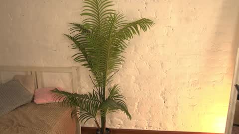 Snapshot of elliefrost chatting on 03/11/25, 03:26 elliefrost online show from 03/11/25, 03:26