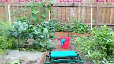 Ella Bella Bo Bella online show from 07/22/26, 01:47