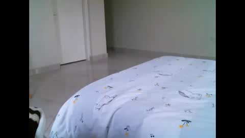 Elphaba online show from 02/21/26, 10:05